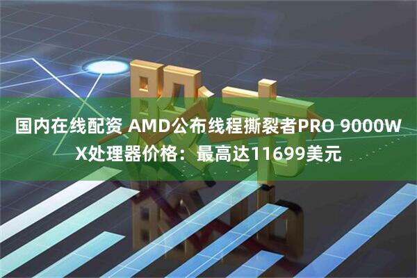 国内在线配资 AMD公布线程撕裂者PRO 9000WX处理器价格：最高达11699美元