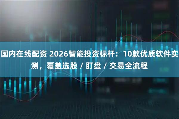 国内在线配资 2026智能投资标杆：10款优质软件实测，覆盖选股 / 盯盘 / 交易全流程